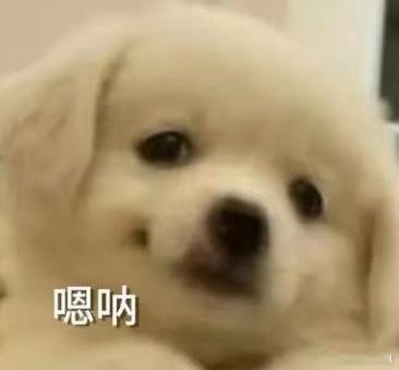 #今天追了什么剧# ​​​