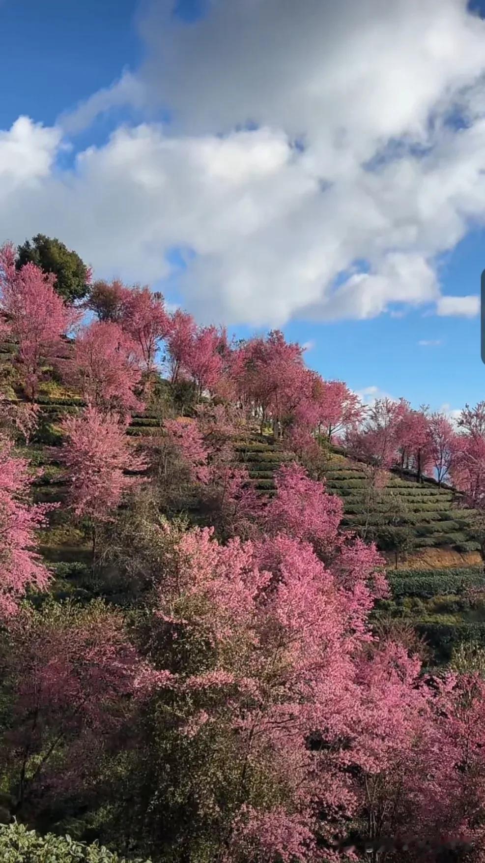 蓝天白云，晴空万里。