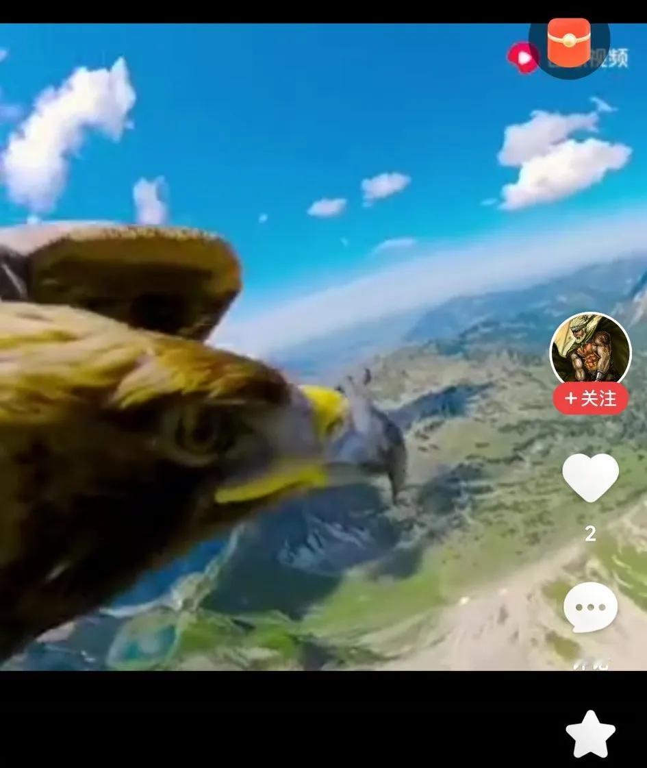 学会换个视角看问题——比如用老鹰🦅恶视角