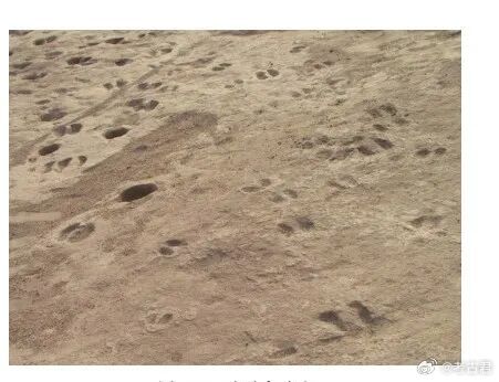 考古发现四千年前先民就围着火坑烤肉 四坝文化是河西走廊中西部距今3900-340