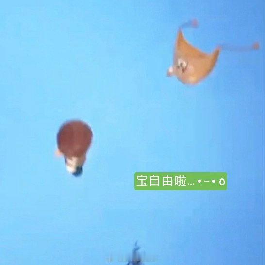 张泽禹连续剧张泽禹宝小球连续剧 张泽禹宝小球连续剧 