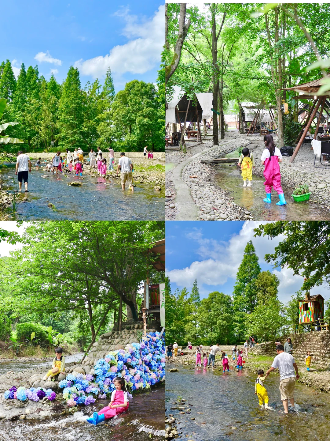 夏日玩水，抓螃蟹追兔子赢美元，好玩停不下来