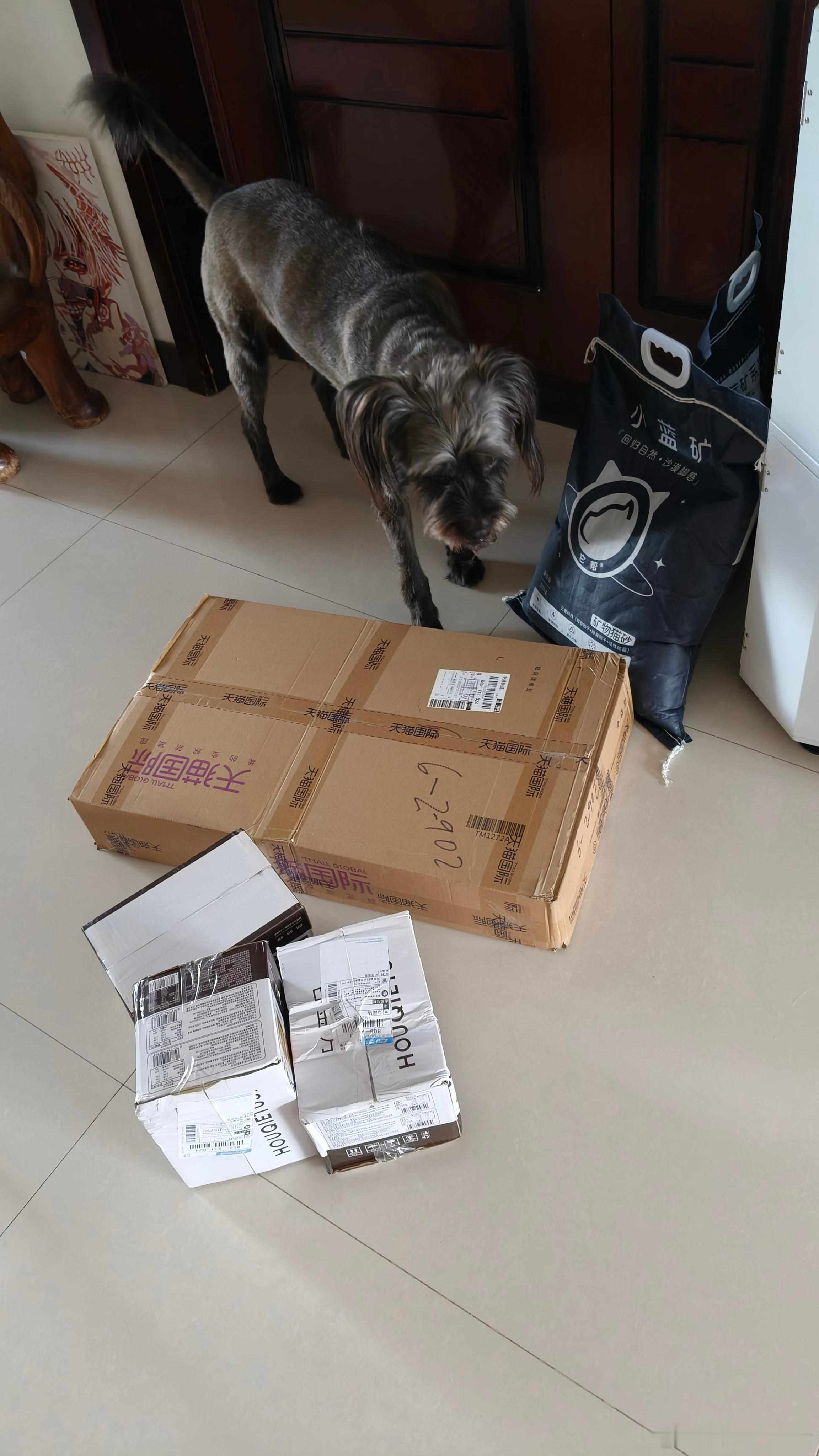 一开门，看对门这快递怎么这么眼熟呢，狗粮和面包，再看包装，门牌号写的清清楚楚，快