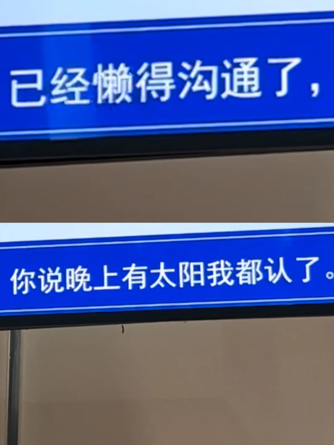 厦门树洞好癫好好笑啊哈哈哈哈