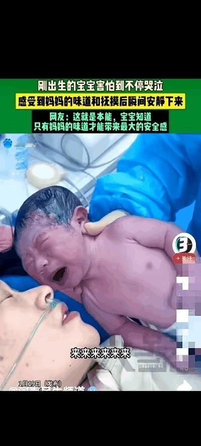 山东一家医院，一个干了五年的护士，抱着个刚出生的娃娃，快把嗓子都哭哑了。
小脸憋