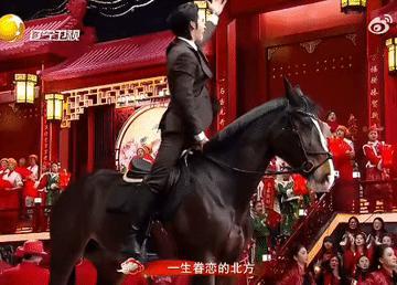 辽宁卫视春晚于适骑着马就来了，收视率瞬间登顶，秒杀今晚的央视和其他卫视！
辽宁卫