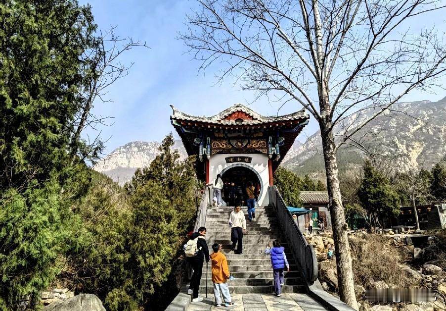 生活再忙，也别忘了抬头看看身边的美好。

不用远赴名山大川，一片干净的天空、一缕