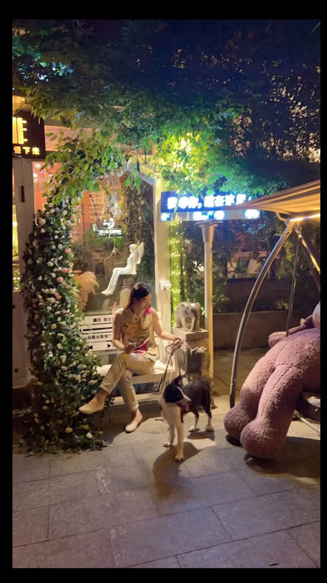 爱犬边牧 溜🐶