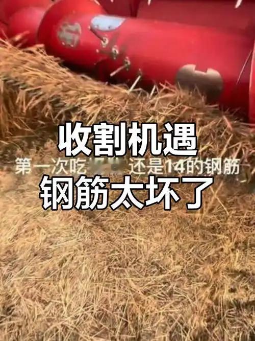 河北邢台，一村民开着收割机收自家玉米，机器忽然响起警报并瘫在地里。他跳下车拨开玉