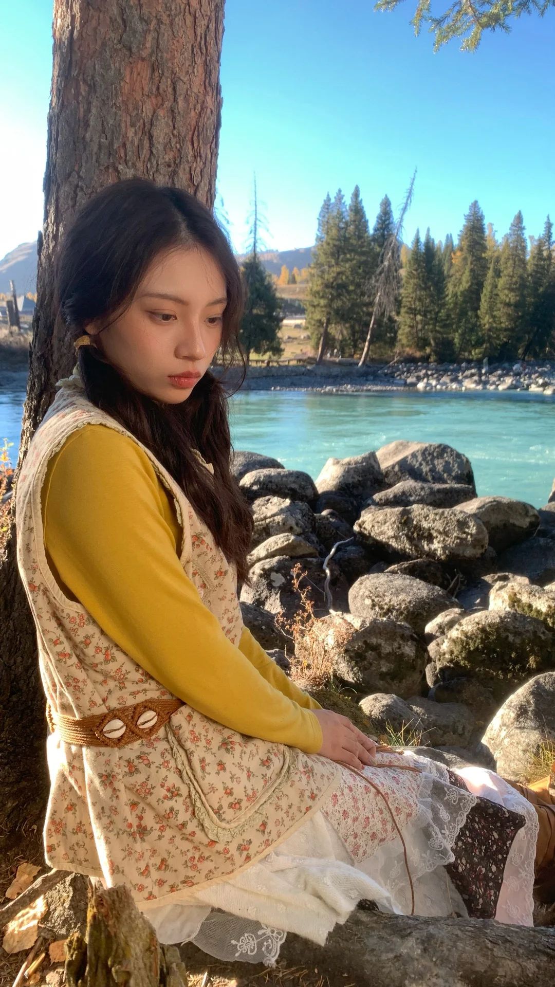 Live｜喀纳斯湖畔的秋天🍁