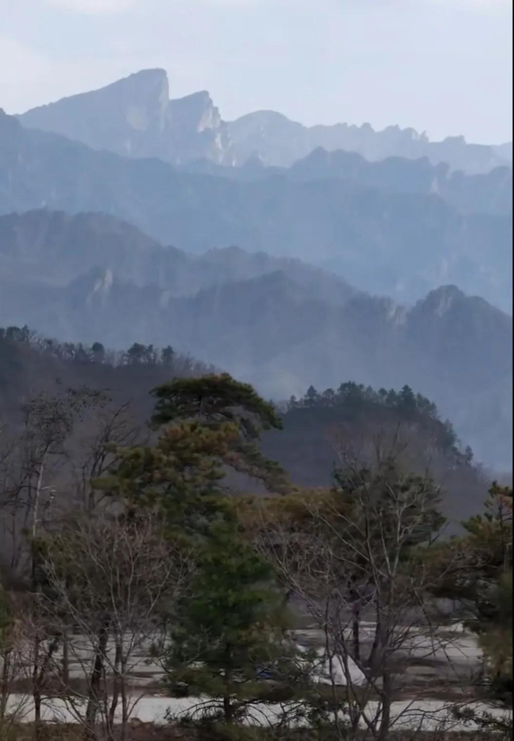 看故事  悟人生    从前，八百里伏牛山里一个小木匠不慎误杀了自己的师傅老木匠
