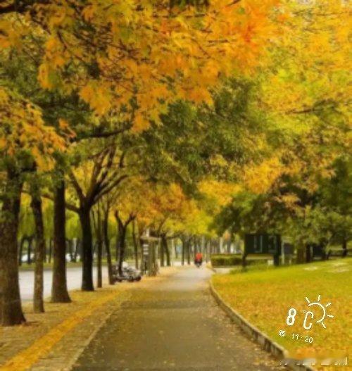 不错的天气，等车出发……    