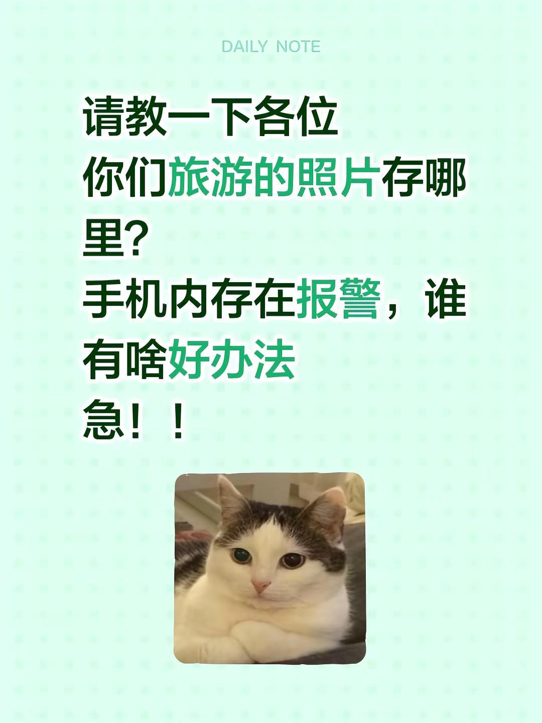 请教一下各位你们旅游的照片存哪里？手机内存在报警，谁有啥好办法 急！！照片存储 