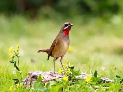 快来看看我新换的主页背景吧