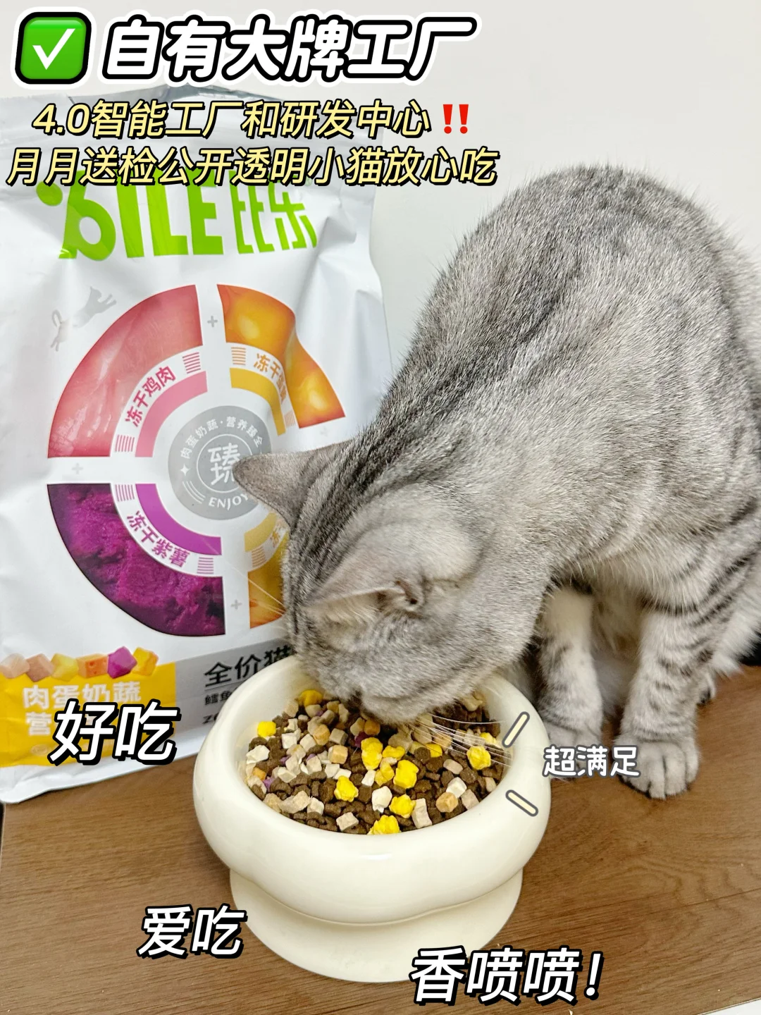 如何喂养挑嘴猫咪？选对猫粮一步搞定～