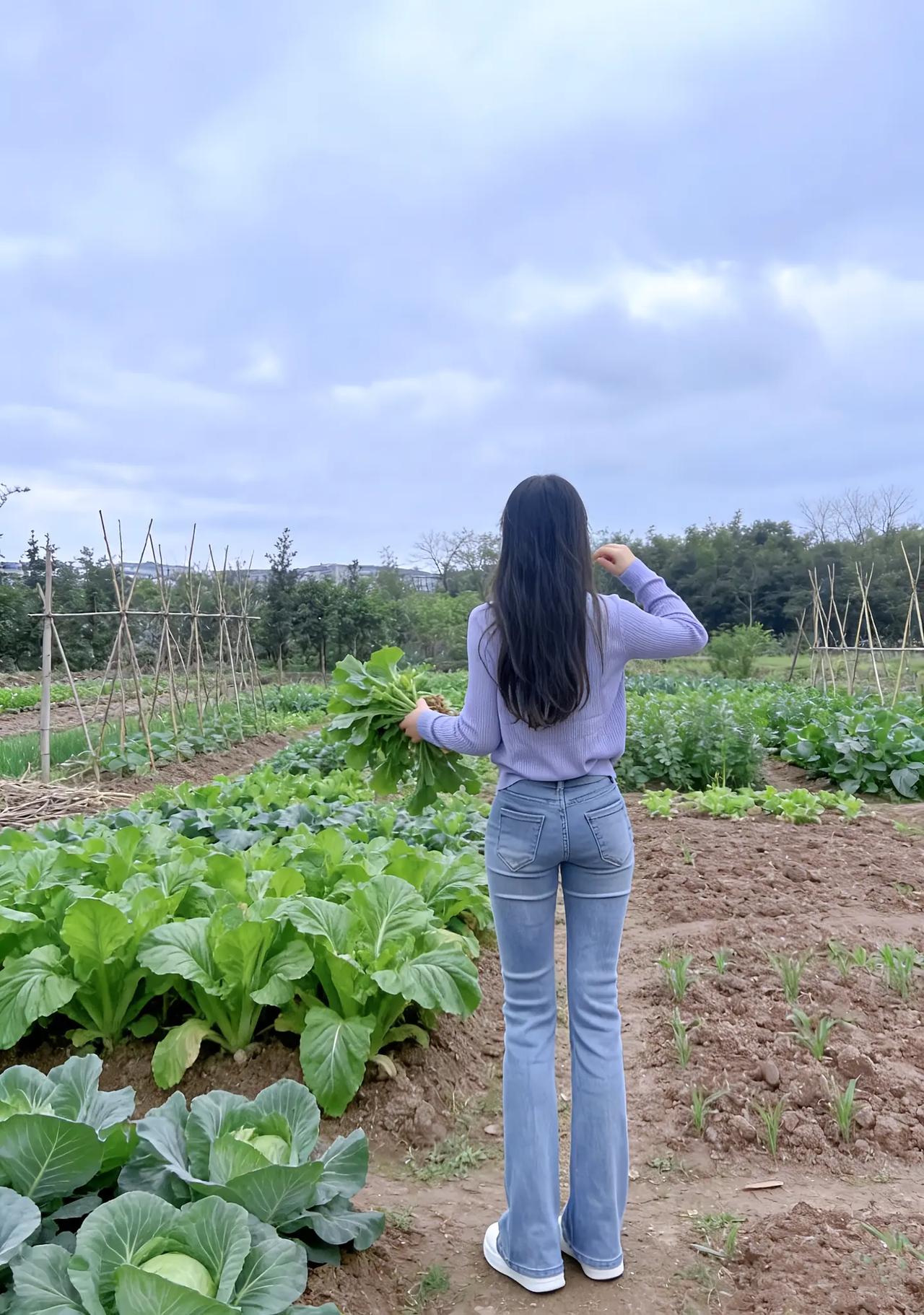 绿野仙踪里，菜园春意浓。