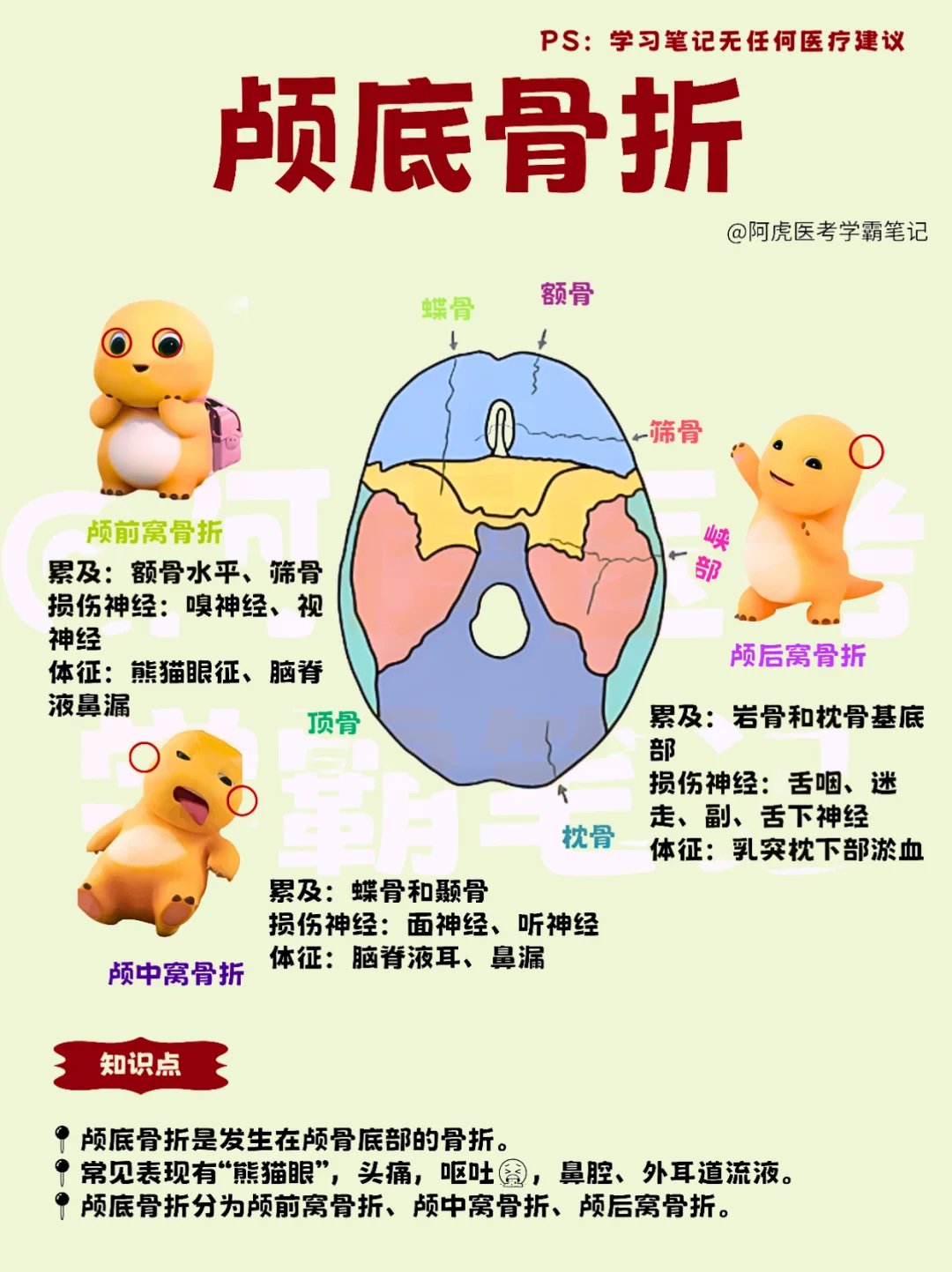 医学生笔记📒｜颅底骨折👆