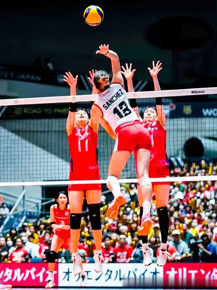 巴黎奥运会女排资格赛9月17日赛程、直播预告:
⌚09:00
B组 比利时🇧?