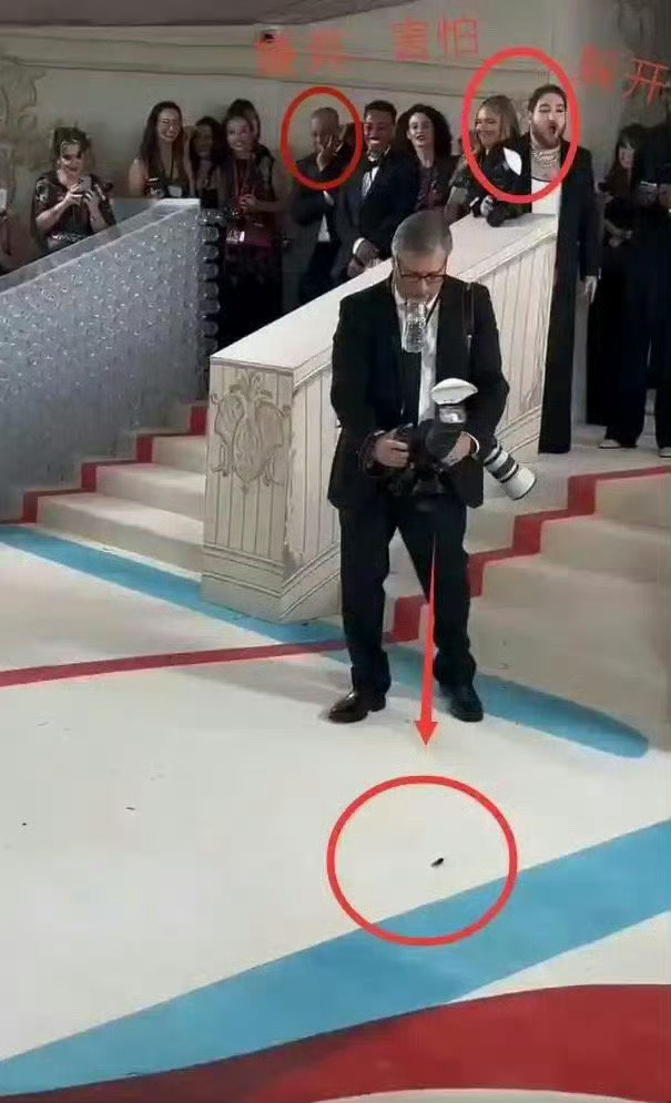 美国红毯真实现状：地毯掀开全是蟑螂，公共厕所坐满女明星 ​​​