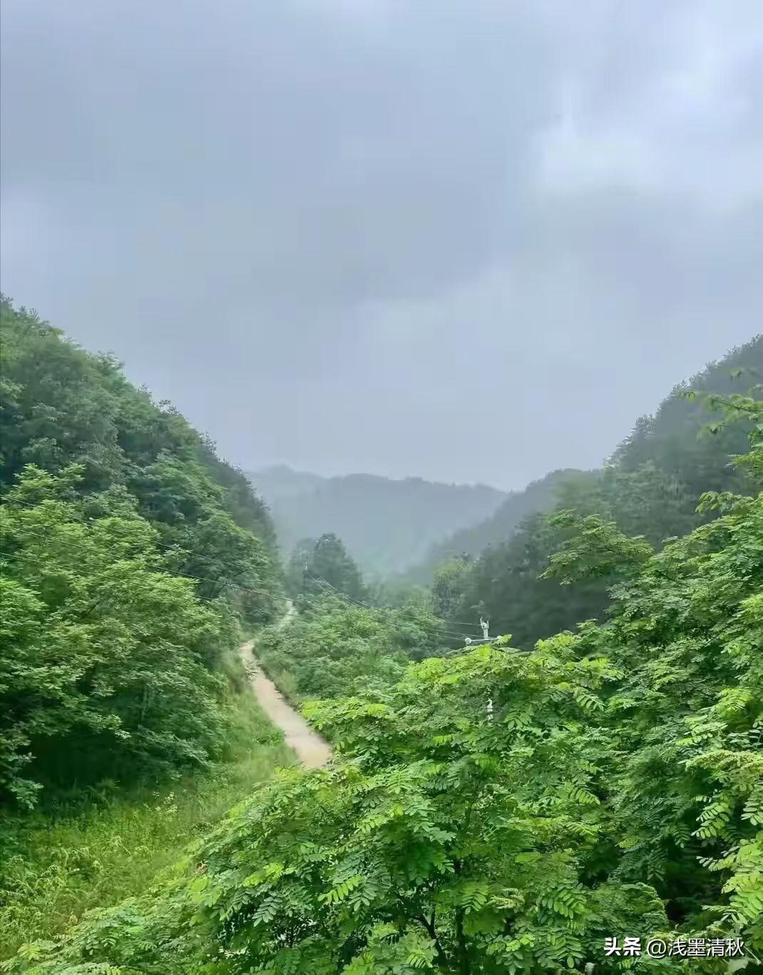 山中景色无限美，
青山碧翠溪流水。
鸟语花香随风至，
醉卧画中不思归。
