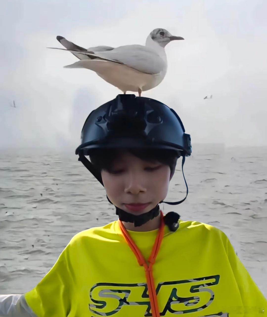 呼 