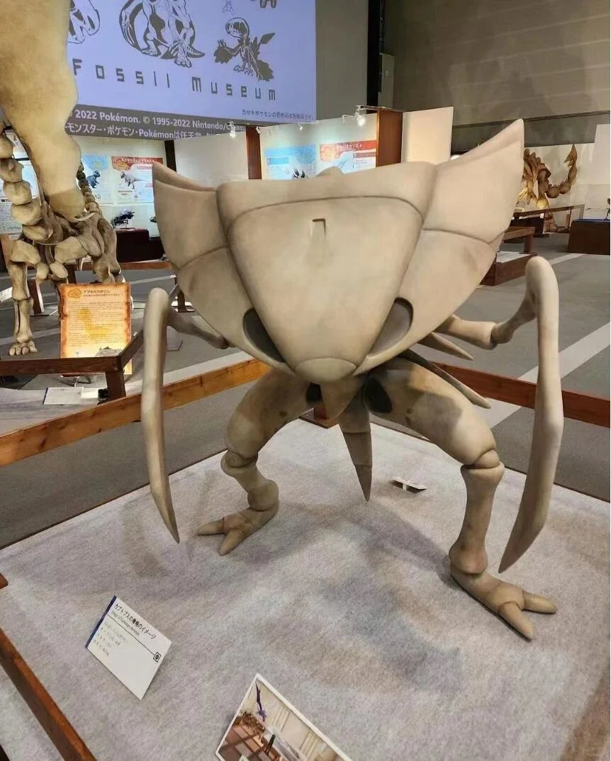 宝可梦博物馆