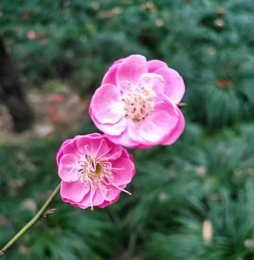 喜欢一个人，
你可以依赖，
可以示弱，
也可以偶尔撒娇，
但当他转身离开时，
你