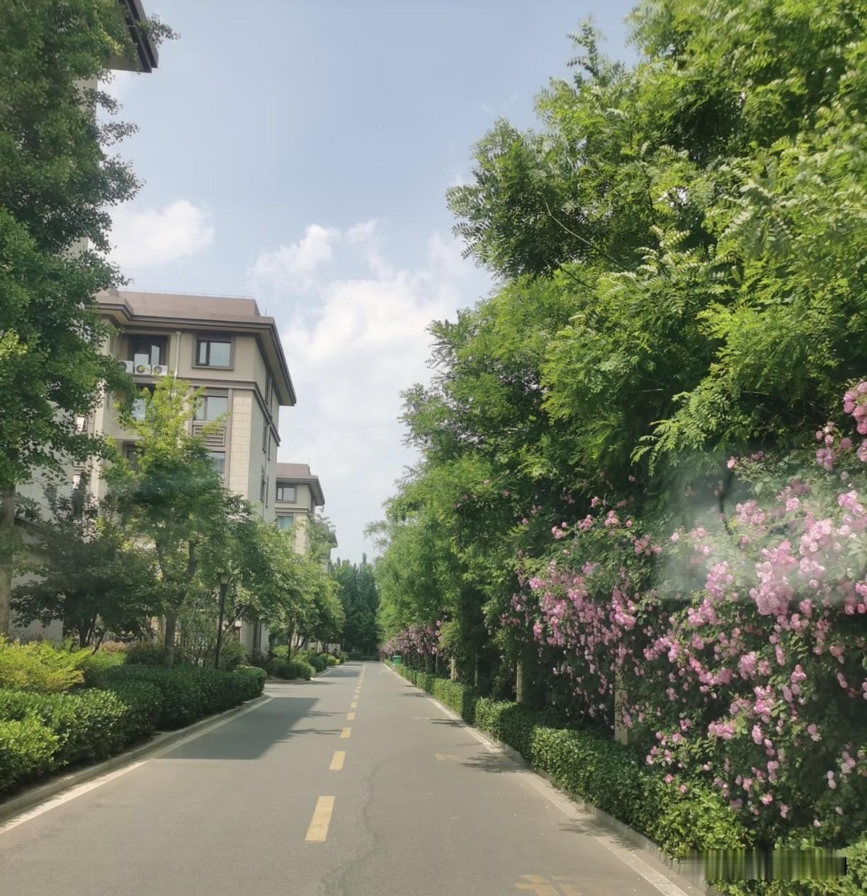 前些年同事老张的儿子结婚，曾通知我去喝喜酒，我没去。当时还略微觉得有点过意不去，