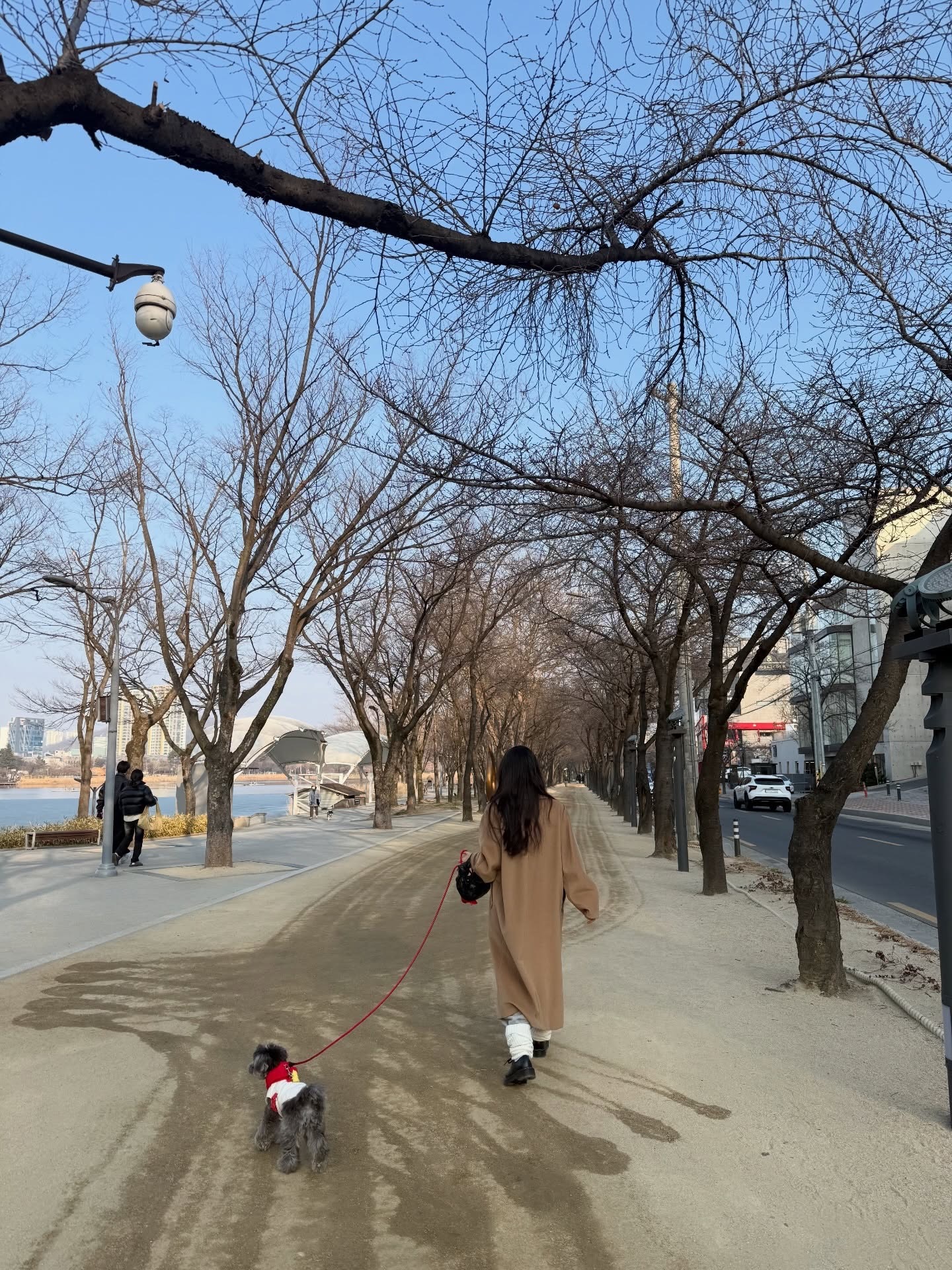 金知妍更新休假 