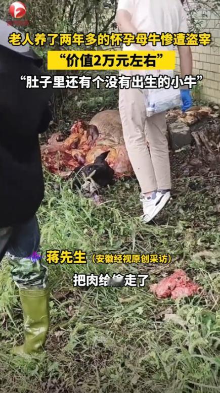 “严查到底！”9月29日，湖南郴州，一老人家里养了2头牛，基本上就指望这点钱过日