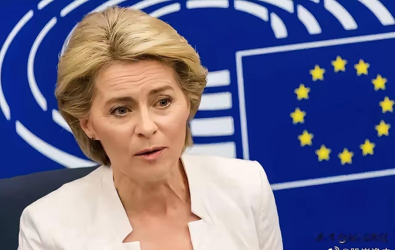 欧盟主席，欧洲各国将会抱团抵抗美国！欧盟委员会主席冯德莱恩于1月18日在社交媒体