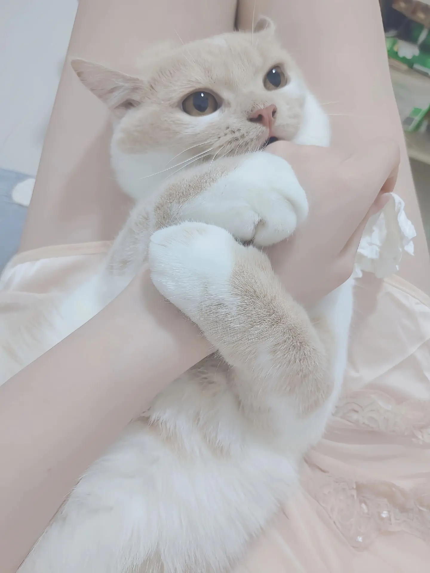 爱的最后是什么