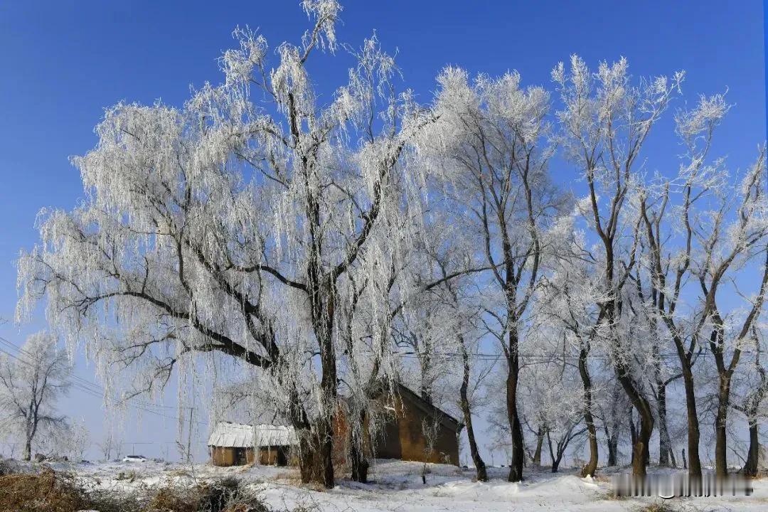 大范围雨雪！局地大雪或暴雪！青岛降温10℃阵风9级，明天将是心也拔凉、身也拔凉的