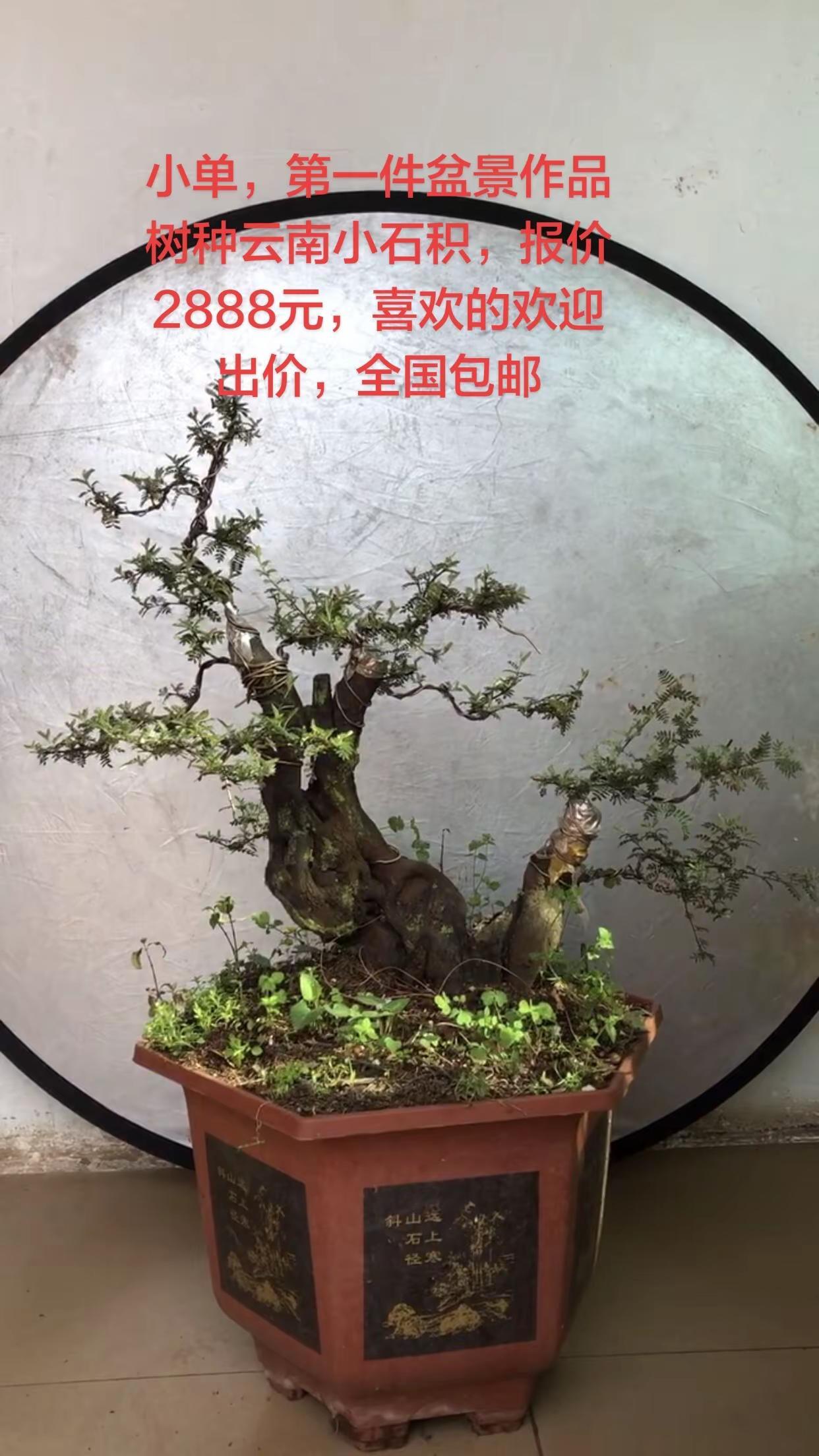 自从不走常人路，读了师范美术专业。我就深知，这辈子的路有多孤独，关键还有一对与众