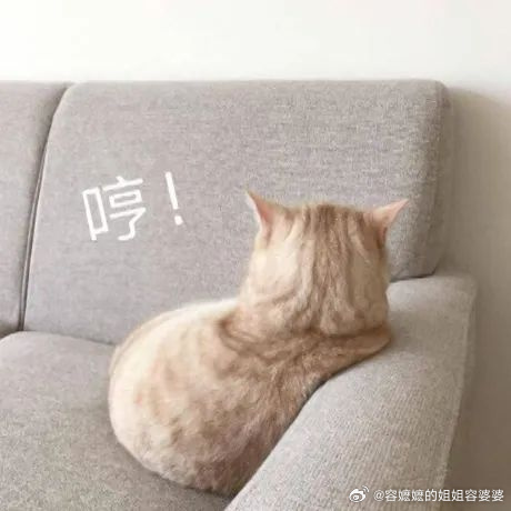 微信公关总监回应关停支付有优惠很少很少总微信支付，和友商的各种红包比，微信支付一