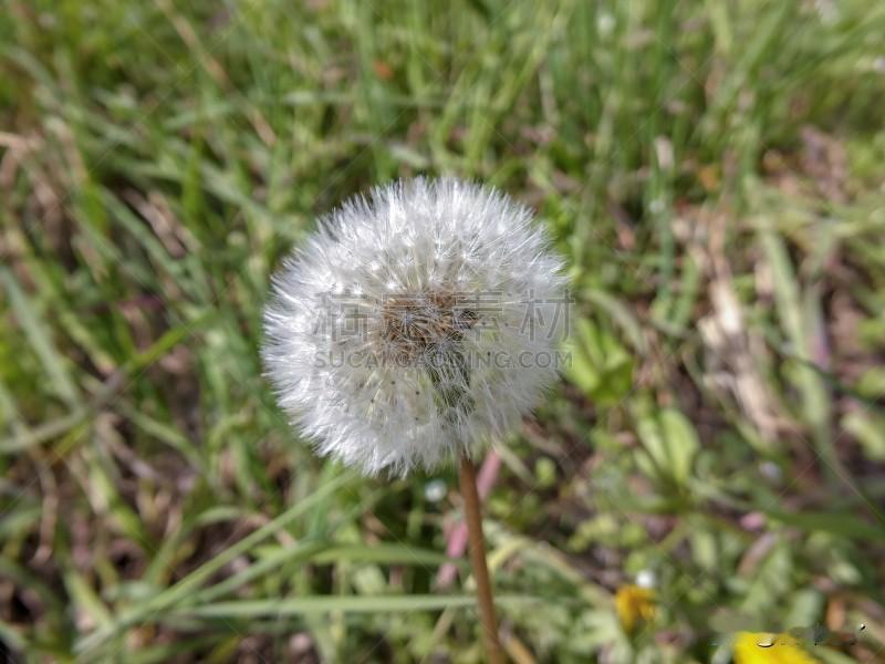 我跟我哥说，我又梦到咱爸咱妈了。我哥说他咋从来没有梦到过家里的老人？

    