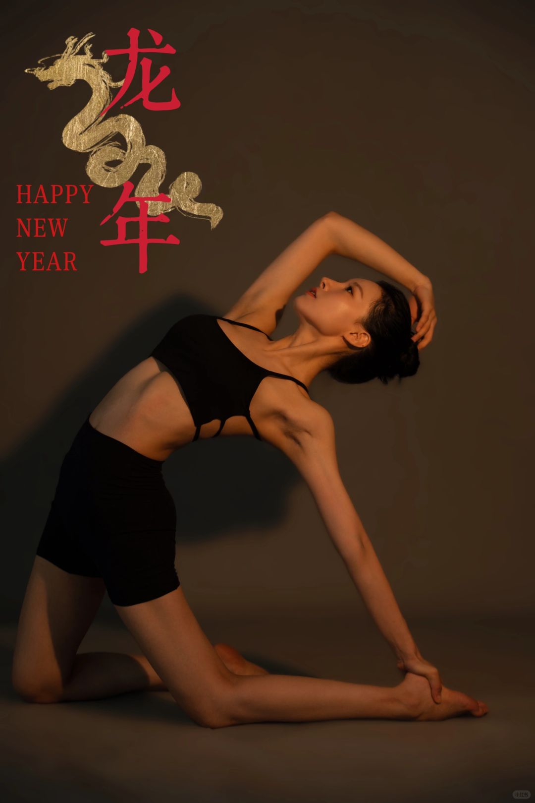 龙年大吉