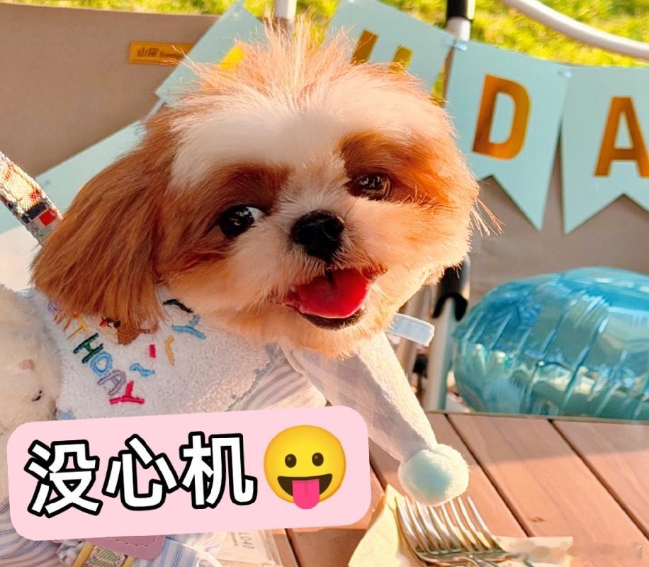 😛 