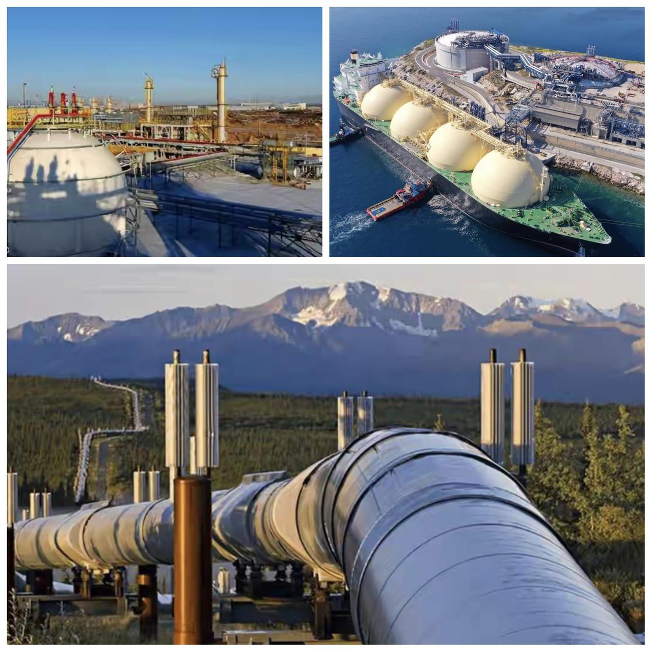 ✨世界各国天然气安全更加告急!✨

🐼 世界各国更重视石油安全储备，对天然气的