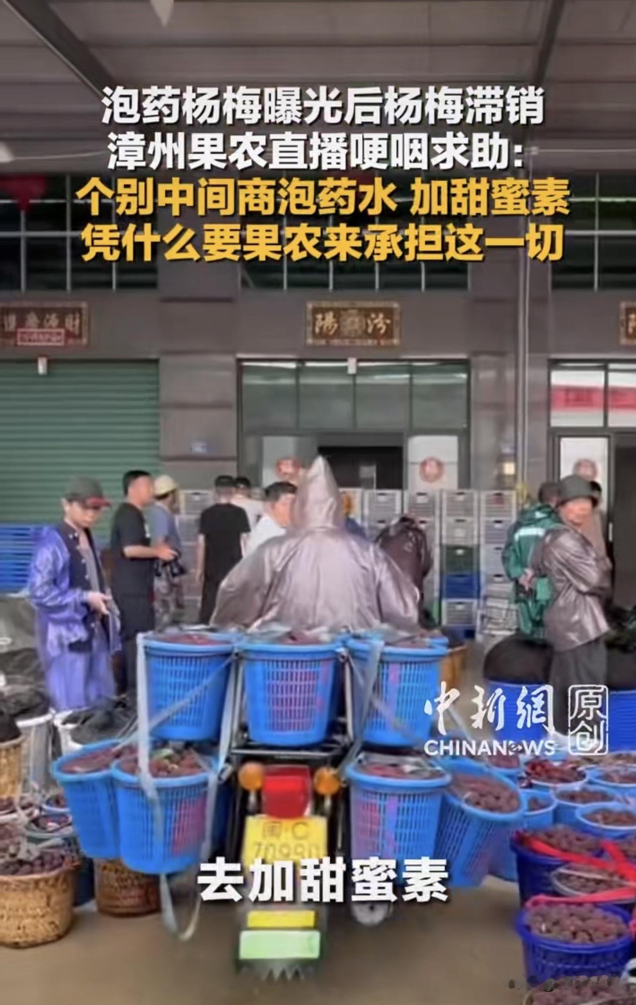 【吃毒杨梅的没哭，卖毒杨梅的先哭了。】福建漳州，一家祖辈种杨梅的姑娘，在“泡药水