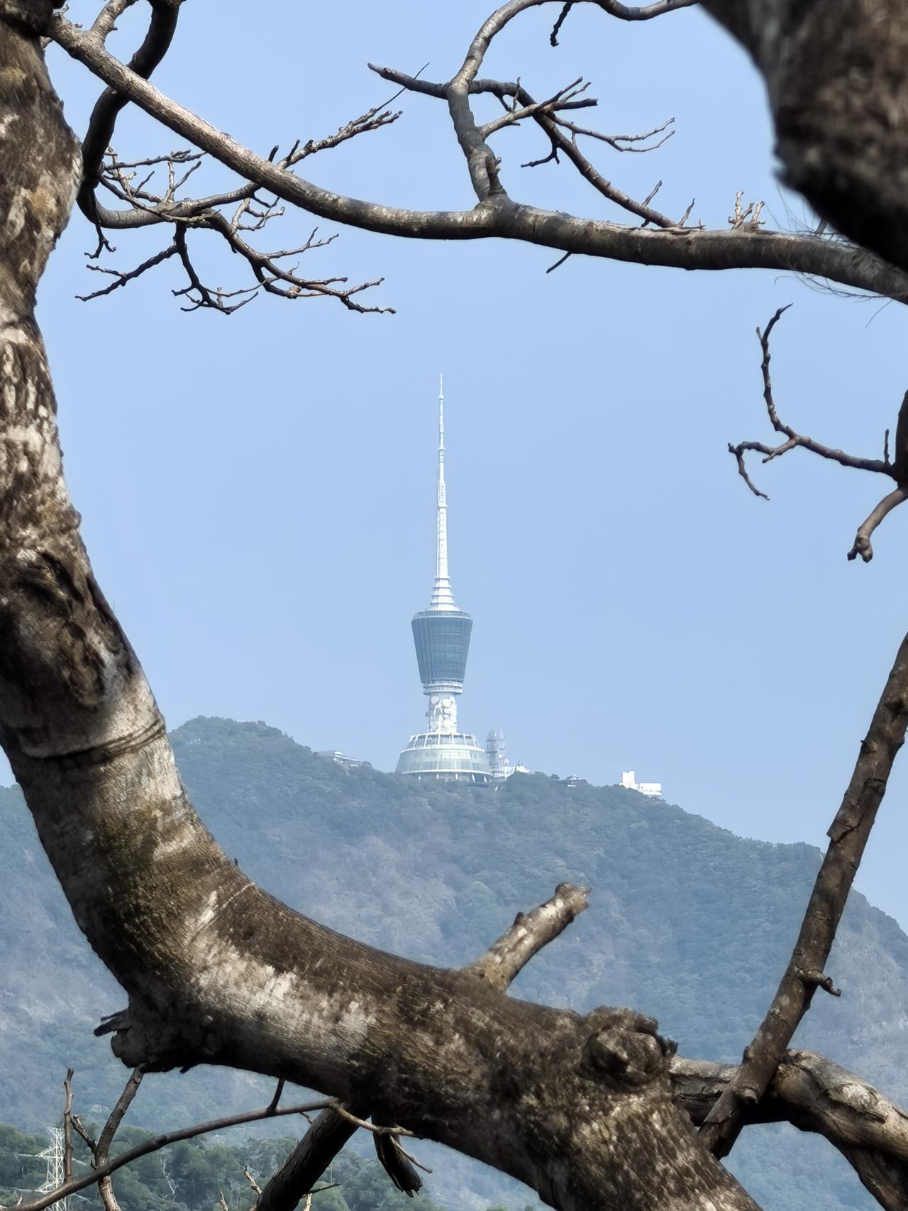 目前官方还没有公布新疆维吾尔自治区喀什地区岑岭县行政区划地图