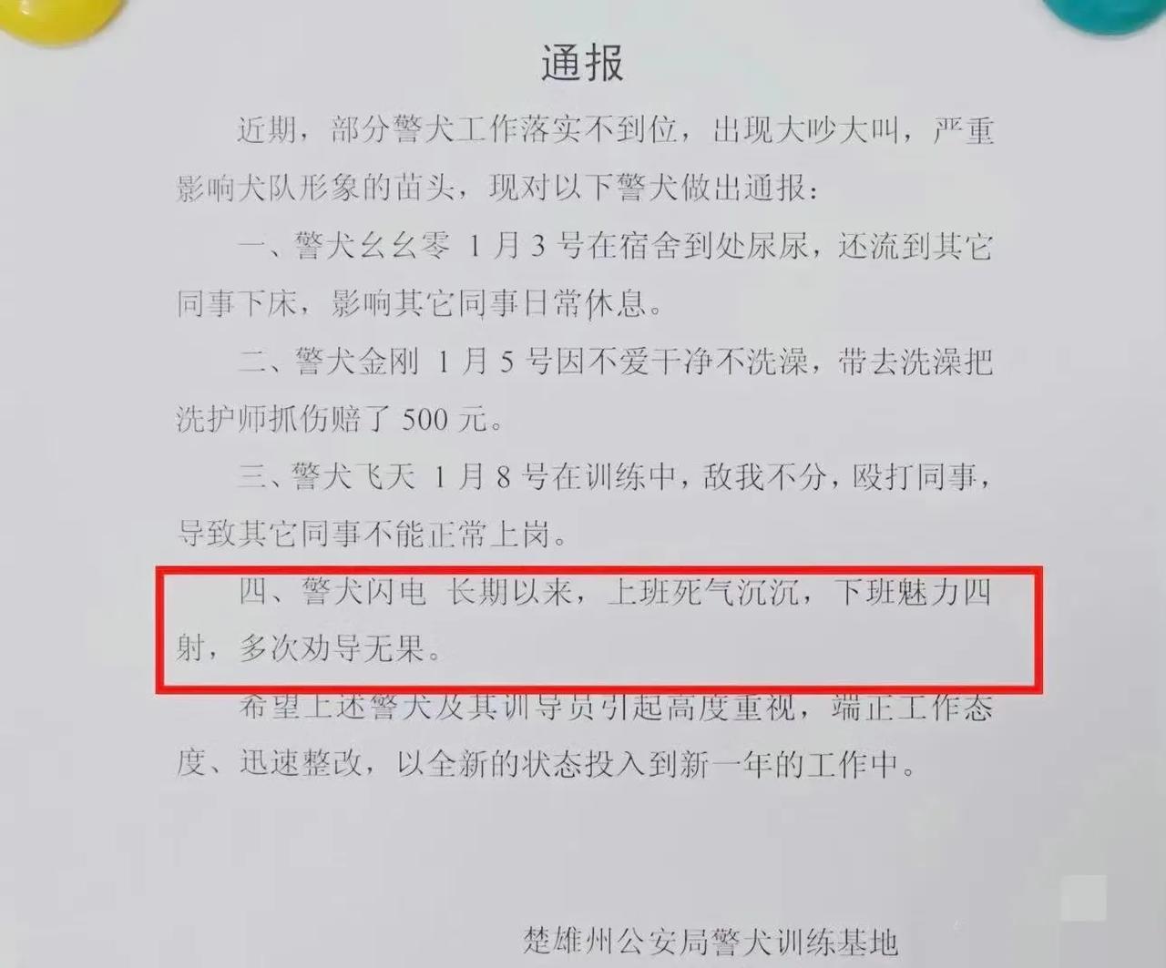 近日，云南楚雄州公安局警犬训练基地里的几只警犬被“通报”批评了。看样子人工作不到