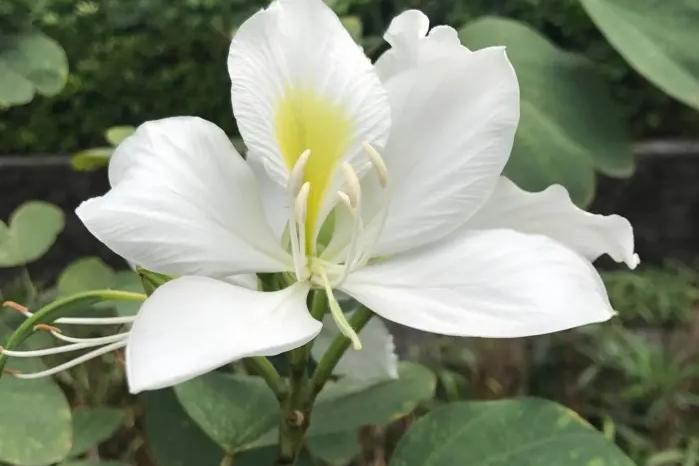 生命是一条单程路，走过了就回不了头。

一个年轻生命的骤然离去，本应是最沉痛的告