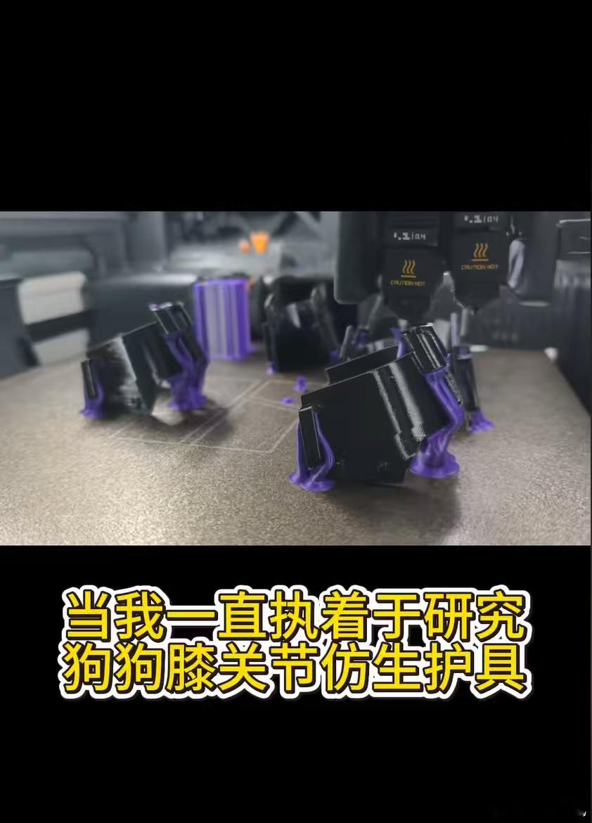 男子用3D打印给瘸腿小狗装机械腿技术的价值不止于做大项目，也体现在这些微小的善意