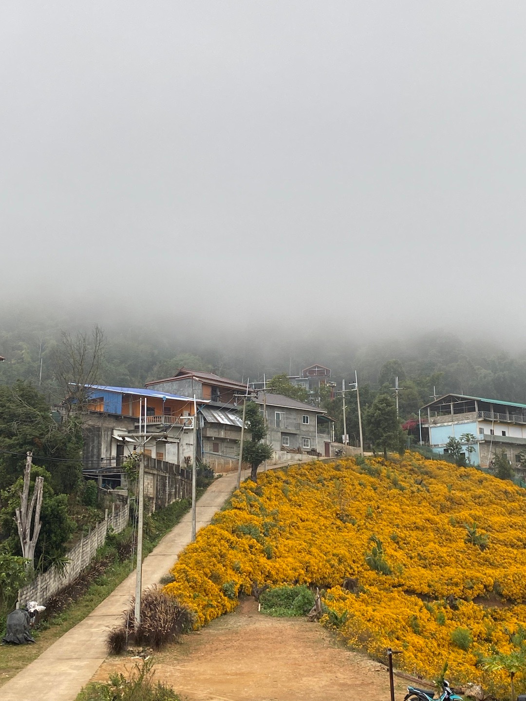 #旅行摄影[超话]# 晨雾里的美斯乐。  ​​​