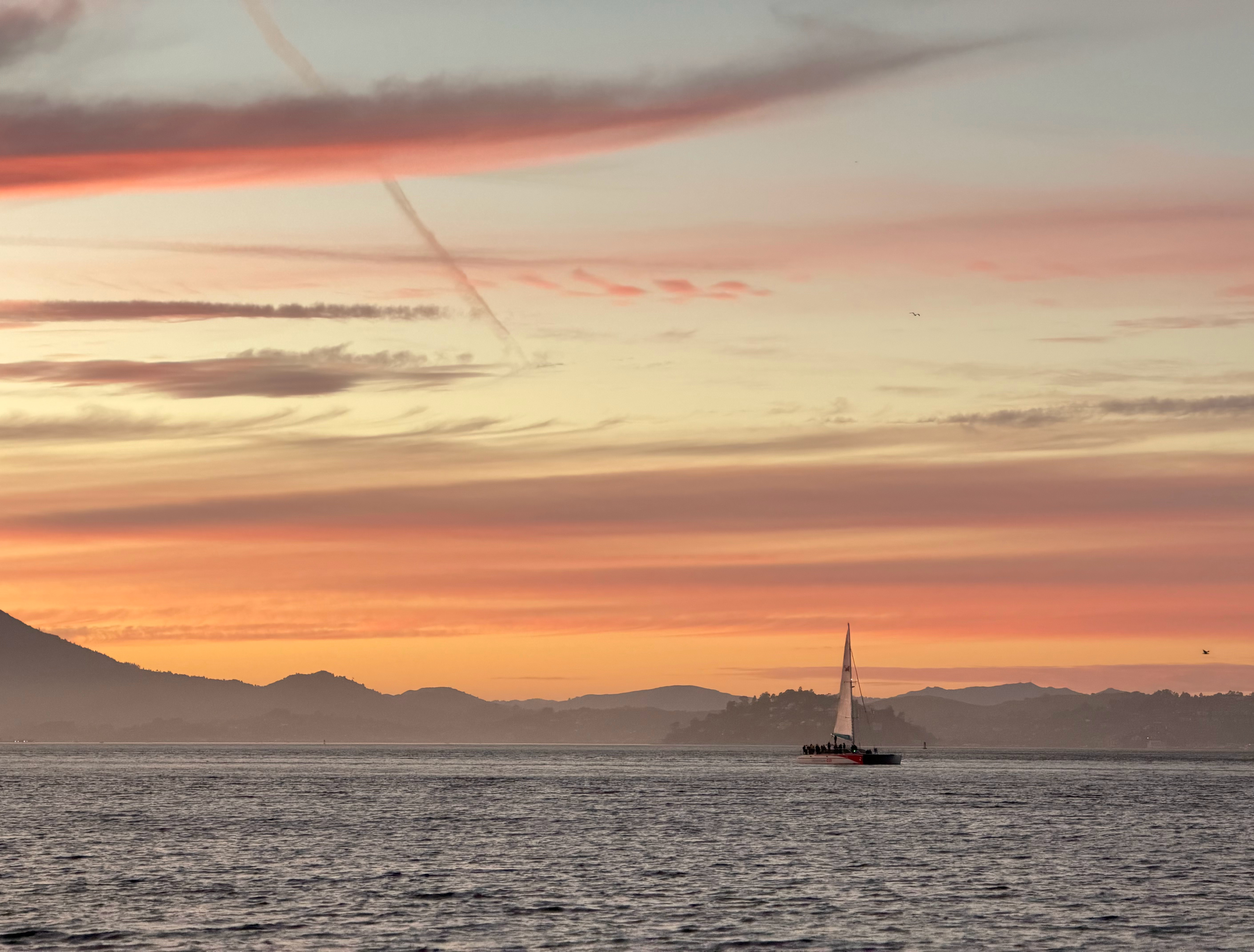 之前只在陶喆的歌词里听过「外面有橘色的加州阳光」，但今天我的口袋里没有黑色的柳丁