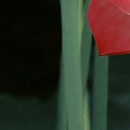 每日一善每日一善  人生并非都是选择题，而是在做应用题，那要我们一点一滴的去论证