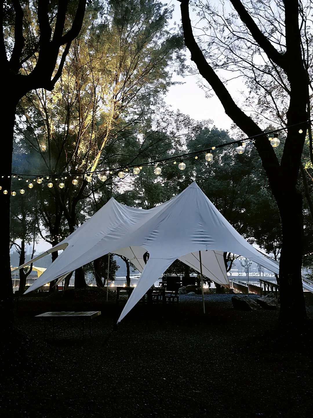 家门口的大阳垾公园 已是下个level🌲