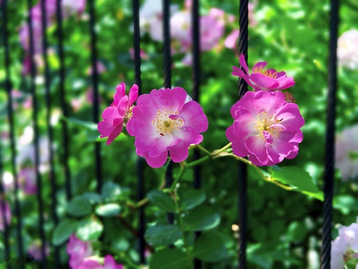 我很喜欢一个词叫不破不立。有些东西必须摧毁，必须放弃，才能迎来新生。不管是消耗你