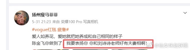 刘诗诗粉丝造谣刘诗诗和陈金飞有夫妻相，576表示生气